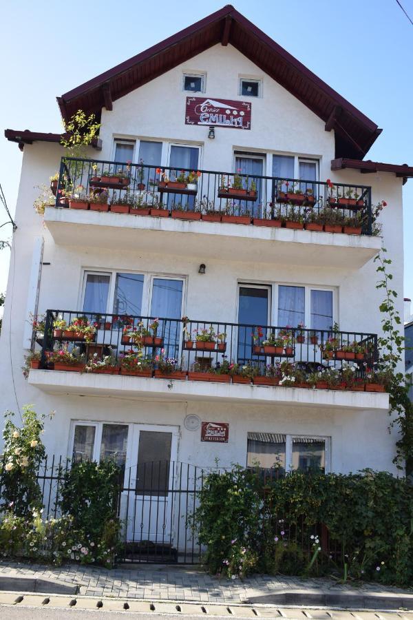 Casa Emilia Hotel Vatra Dornei Exterior foto